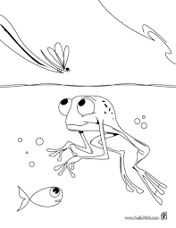 Select from 33378 printable crafts of cartoons, nature, animals, bible and many more. Rainforest Coloring Sheets 17529746 Full Frog Swimming Pages Hellokids Com Dialogueeurope