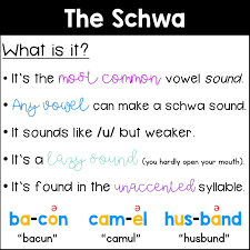 Introduction schwa is often characterized as a weak or reduced vowel. Sarah S First Grade Snippets What Is The Schwa
