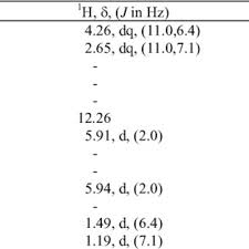 Image result for Helichrysum paronychioides