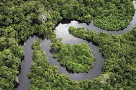 A tropical rainforest climate or equatorial climate is a tropical climate usually found within 10 to 15 degrees latitude of the equator, and has at least 60 millimetres (2.4 in) of rainfall every month of the year. A Passion For Geography Leads To The Rain Forest