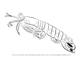 Most artists i see here on deviantart draw what they like, but only with. Learn How To Draw A Killer Shrimp Other Animals Step By Step Drawing Tutorials