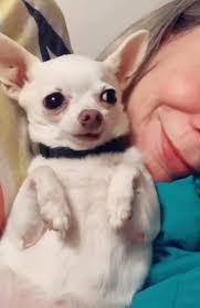 Profile for Gizzie QueenChi