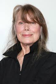 Mike Flanagan Is Turning Another Stephen King Favorite Into a TV Series