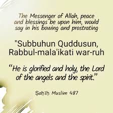 Rukku And Sajdah Islamic Quotes Reminder Quotes Allah Islam