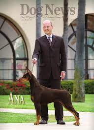 The demand for coffee in australia and the world at large has triggered the drip coffee machines manufacturers to improve the technology so as to develop best. Dog News Sept 30 2011 By Dog News Issuu