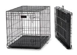 Midwest Lifestages Double Door Dog Crate 24 In