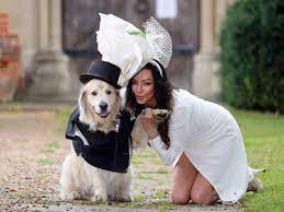 British woman ties knot with her golden retriever, yes a dog!