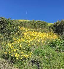 Rancho palos verdes city hall was a nike missile base: I Ll Take The High Road A Scenic Walk On The Palos Verdes Peninsula Palos Verdes Pulse