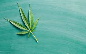 Thc Cannabinoids Reduce Symptoms Of Tourette Syndrome