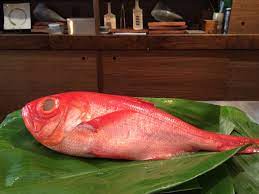 Kinmedai Aka Golden Eye Snapper Sometimes It S Best Lightly Seared Vegetarian Menu Omakase Vegetarian