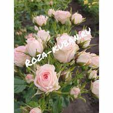 Выбор места для посадки