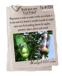 All you need is an old cola bottle, a knife and a stick or decorators pole. Diy Fruit Picker How To Make Your Own Fruit Picker Repurposed Bottle