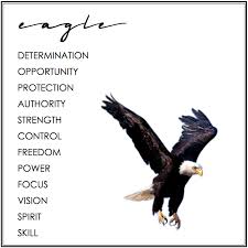Eagle Money Clip Animal Meanings Spirit Animal Meaning Animal Spirit Guides