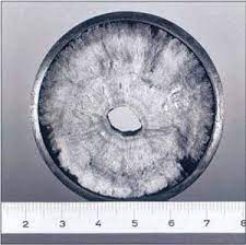 Carbonate Scale The Hardened Truth