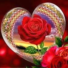 Pin By Samir Paulis On English Grammar In 2020 Beautiful Rose Flowers Good Morning Beautiful Flowers Love Wallpaper Backgrounds