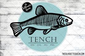 Download Tench Fish Svg Design Files Hand Drawn Fishing Vector Clipart Cricut Silhouette Cameo Png Eps Fish Vector How To Draw Hands Vector Sketch