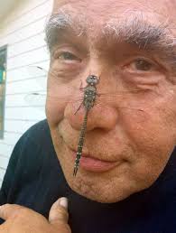 Obituary of Terrence Papps