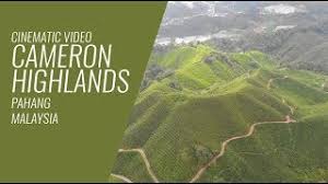 Cameron highland guesthouse (konukevi), tanah rata (malezya) fırsatları. Cameron Highlands Tanah Tinggi Cameron Pahang Malaysia Above The Clouds Youtube