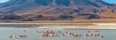 2021 updated information about how to get to uyuni, how to book salt flats tours and much more! Salar De Uyuni Bolivia Adventure Travel With Ker Downey Tour Operator