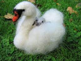 vilten zwaan naaldvilt dier handgemaakt custom order etsy nadelfilztiere filzvogel filztiere