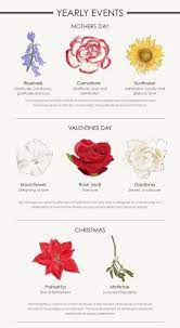A Flower For Every Occasion Your Complete Guide Flower Meanings Language Of Flowers Flower Guide