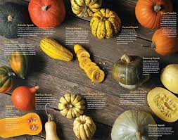 Check spelling or type a new query. Winter Squash 101 Harvest Cooking Winter Squash Green Beans