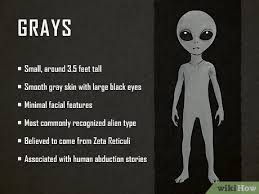 16 Different Types of Aliens Known to Exist & Their Origins