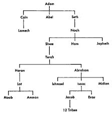 Adam Eve Noah Abraham Family Tree Google Search Bible