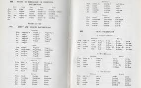 nouns adjective declensions paradigms latin for rabbits