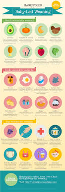 click to expand infographic the magic list of baby led weaning foods baby led weaning recipes weaning foods baby led weaning