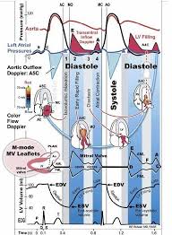 Pam Baty (pverde9901)
