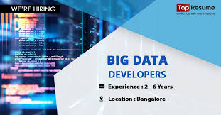 Big Data Developer In 2020 Job Posting Job Opening Job Hunting