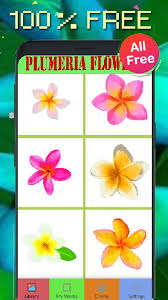 We did not find results for: Plumeria Flowers Color By Number Pixel Art 2020 For Android Apk Download