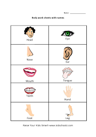 Worksheets, lesson plans, activities, etc. Human Body Parts Worksheets Kidschoolz
