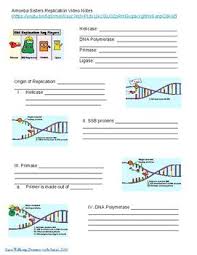 Dna Replication Video Notes Amoeba Sisters Dna Replication Dna Activities Dna