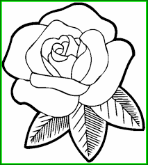 That's all there is to it! How To Make A Beautiful Flower Drawing At Paintingvalley Com Explore Collection Of How To Make A Beautiful Flower Drawing