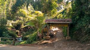 Pada hari jumat kantor cabang bni buka sampai jam berapa? Coban Siuk Pemandangan Alami Dengan Bonus Air Terjun Mini Di Dalamnya