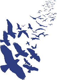 A+ should i invest in ravencoin cryptocurrency? at walletinvestor.com we predict future values with technical analysis for wide selection of digital coins like ravencoin. Home Ravencoin