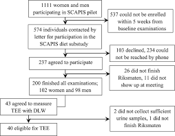 Flow Chart Of Recruitment Of Participants To The Swedish