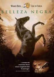 Http Www Peliculaspremiere Com Ver Annapolis El Desafio Facebook