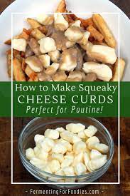 Simple Homemade Squeaky Cheese Curds Recipe Cheese Curds Cheese Recipes Homemade Homemade Cheese Curds