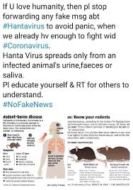 In colorado, the rodents that carry hantavirus are deer mice. Hantavirus Vs Coronavirus Here Is All You Need To Know About Deadly Virus