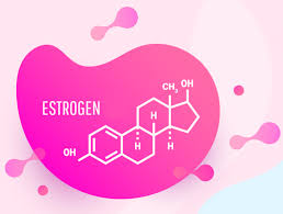 Image result for Estrogen