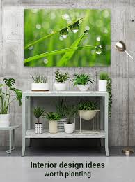 See more ideas about art design, design, graphic design inspiration. Interior Design Ideas Worth Planting Pairing Art And Indoor Plants