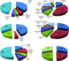 pie charts showing gene ontology annotations of the santa