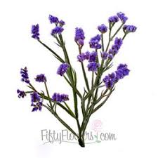 Tissue Culture Statice Purplish Blue Flower Fiftyflowers C Lilac Wedding Flowers Purple Flowers Cheap Wedding Flowers