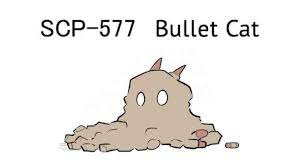 Pin On Scp S