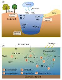 Highly rated hidden gems in malaysia: Bg Relations Biogeographical Distribution Of Microbial Communities Along The Rajang River South China Sea Continuum