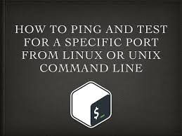 Quickest way to test if a tcp port is open (including any hardware firewalls you may have), is to type, from a remote computer (e.g. How To Ping And Test For A Specific Port From Linux Or Unix Command Line Nixcraft
