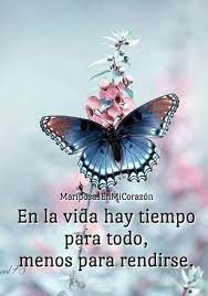 Pin By Maryholguinp On Frases Y Citas Beautiful Butterflies Flying Flowers Raindrops And Roses
